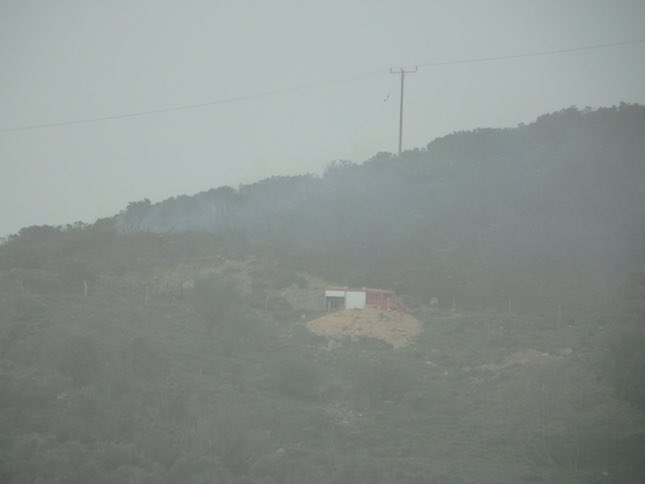 Κρήτη: Απομάκρυναν την φωτιά από το χωριό οι πυροσβέστες - Φωτογραφία 6