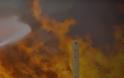 Κρήτη: Απομάκρυναν την φωτιά από το χωριό οι πυροσβέστες