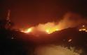 Κρήτη: Απομάκρυναν την φωτιά από το χωριό οι πυροσβέστες - Φωτογραφία 5