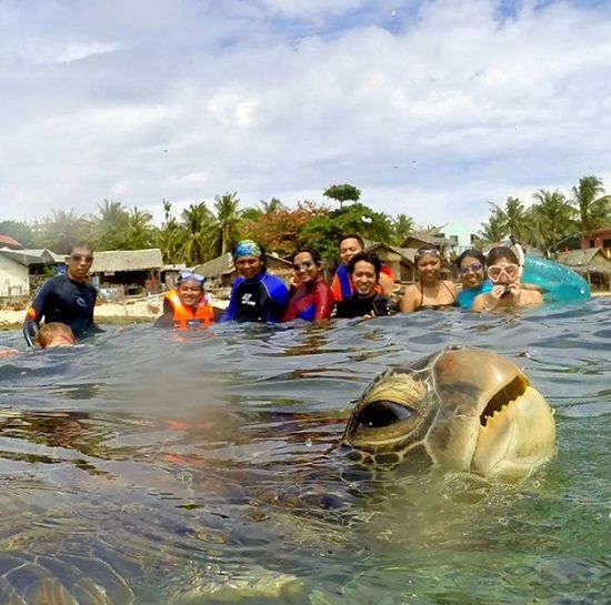 Τα 10 καλύτερα photobombing που έγιναν ποτέ… από ζώα! - Φωτογραφία 5