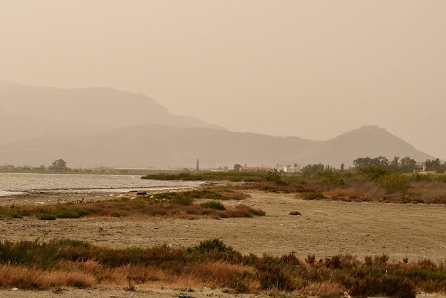 Πνίγηκε στην αφρικανική σκόνη η Κρήτη - Φωτογραφία 1