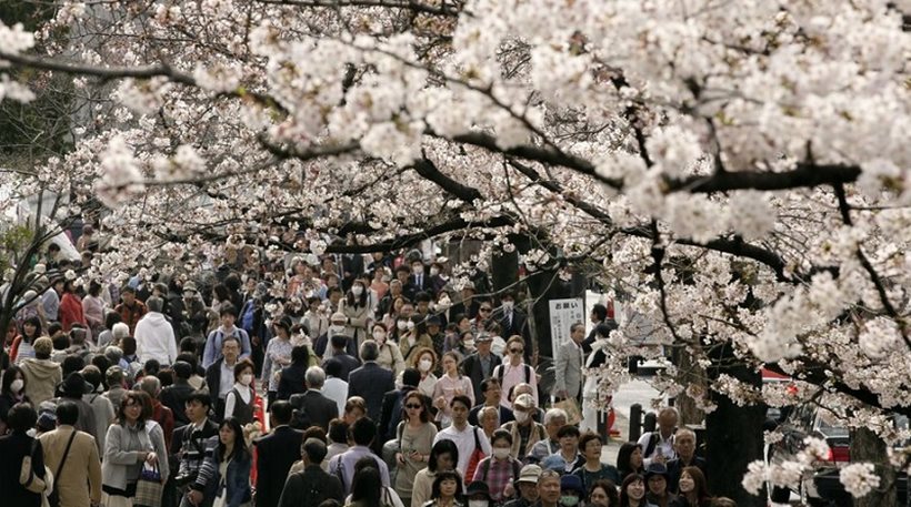 Ιαπωνία: Το Τόκιο καλωσορίζει την άνοιξη με τις ανθισμένες κερασιές - Φωτογραφία 1