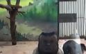 Μαϊμού με ανθρώπινο πρόσωπο γκρέμισε το ίντερνετ [video] - Φωτογραφία 2