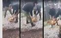 Βίντεο-σοκ: Έλληνες στρατιώτες βασάνισαν και πέταξαν σκύλο σε γκρεμό - Σχηματίζεται δικογραφία από τη Δίωξη - Οργή Καμμένου! Σχηματίζεται δικογραφία σε βάρος τους!