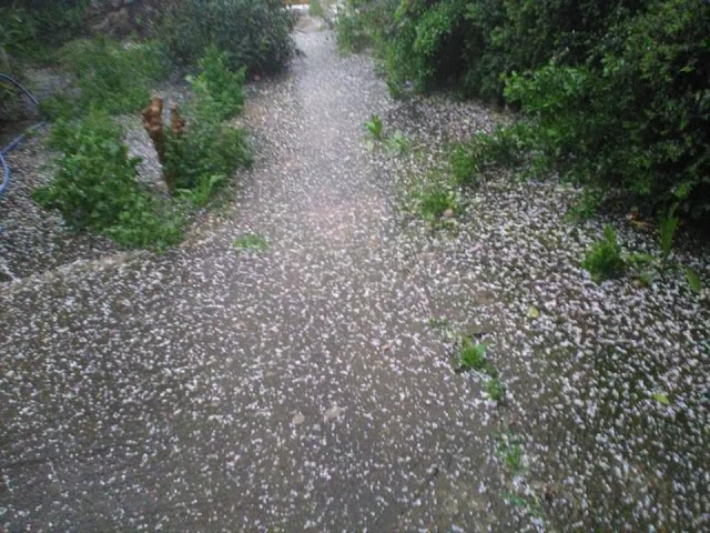 Ισχυρή χαλαζόπτωση απόψε το βράδυ στη ΧΡΥΣΟΒΙΤΣΑ Ξηρομέρου (ΦΩΤΟ: Τζένη Παπαδημητρίου) - Φωτογραφία 4