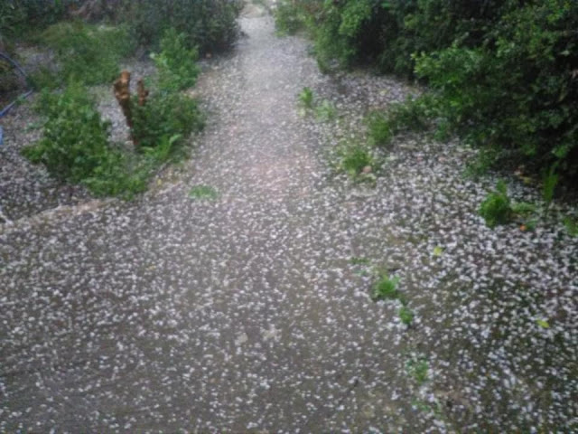 Ισχυρή χαλαζόπτωση απόψε το βράδυ στη ΧΡΥΣΟΒΙΤΣΑ Ξηρομέρου (ΦΩΤΟ: Τζένη Παπαδημητρίου) - Φωτογραφία 5