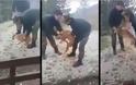 Συγγνώμη ζητούν οι δύο στρατιώτες που βασάνισαν τον σκύλο σε στρατόπεδο [Βίντεο]