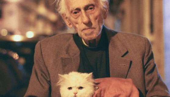 Η ιστορία πίσω από τη φωτογραφία από την Ελλάδα που καθήλωσε και τη Vogue - Ο 93χρονος με τη γάτα του στο λεωφορείο Χ14 - Φωτογραφία 1