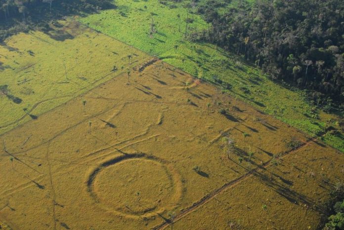 Αμαζόνιος: Βρέθηκαν χωριά που χτίστηκαν πριν από την έλευση του Κολόμβου - Φωτογραφία 1