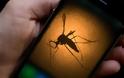 Τι άλλο θα δούμε: Εφαρμογή στο κινητό προειδοποιεί ότι πλησιάζει κουνούπι!