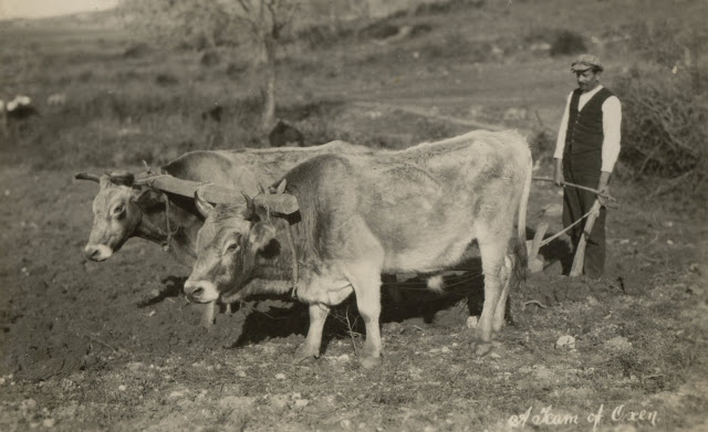 Σπάνιες φωτογραφίες της ΠΑΛΑΙΡΟΥ το 1931,  τραβηγμένες από το Αγγλικό πολεμικό πλοίο «HMS London» - Φωτογραφία 5