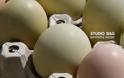 Απίστευτο: Πράσινα αυγά γεννούν κότες σε αγρόκτημα στο Ναύπλιο (φωτο+βίντεο) - Φωτογραφία 6