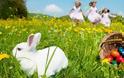 Τι πιστεύουν τα παιδιά ότι γιορτάζουμε το Πάσχα;