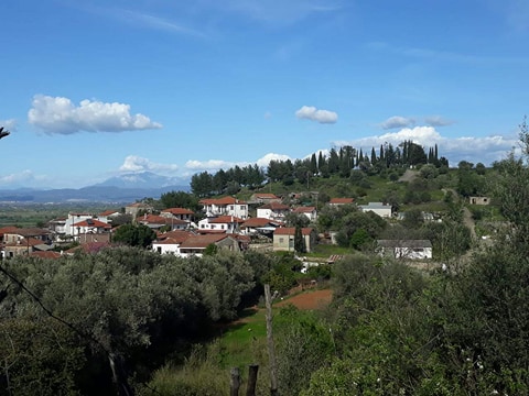 ΦΩΤΟΓΡΑΦΙΕΣ απο το Χωριό ΡΙΓΑΝΗ - Φωτογραφία 14