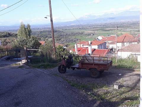 ΦΩΤΟΓΡΑΦΙΕΣ απο το Χωριό ΡΙΓΑΝΗ - Φωτογραφία 8