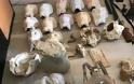 Θεσπρωτία: Συνελήφθη ανδρόγυνο Γερμανών για παράνομη κατοχή αρχαιοτήτων – Κατασχέθηκε μεγάλος αριθμός αρχαίων και παράνομος οπλισμός (ΔΕΙΤΕ ΦΩΤΟ) - Φωτογραφία 3