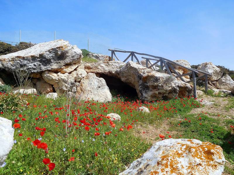 Ανοιξιάτικο οδοιπορικό στην Γαύδο - Φωτογραφία 15