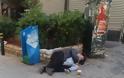 Εικόνες ΣΟΚ μπροστά στο δημαρχείο Πειραιά - Κοιμάται κατάχαμα μαζί με το παιδί του και... [photos] - Φωτογραφία 2