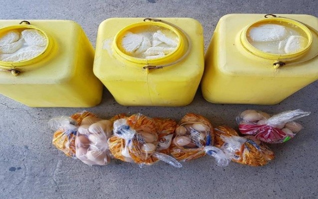 Κύπρος: Κατασχέθηκαν από Τ/κ εξήντα κιλά χαλλούμια και εκατό αυγά - Φωτογραφία 1