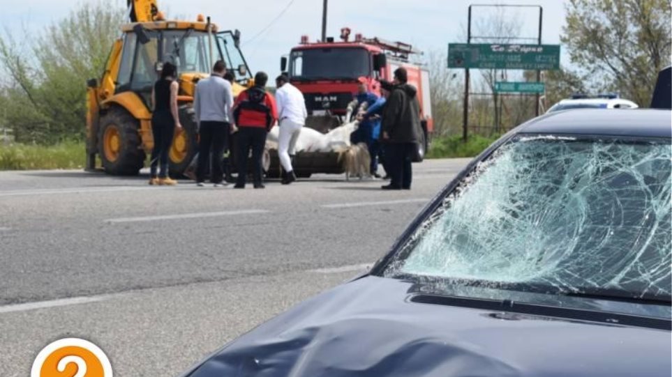 Δύο αυτοκίνητα συγκρούστηκαν με άλογο στην Εθνική Ξάνθης-Κομοτηνής (βίντεο) - Φωτογραφία 1
