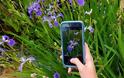 Εκπληκτικό: Tο «Shazam» του φυσικού κόσμου: Εφαρμογή αναγνωρίζει λουλούδια, φυτά και ζώα - Φωτογραφία 3