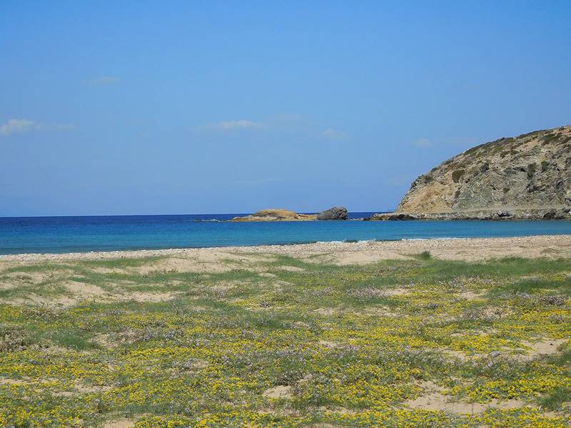 Ανοιξιάτικο οδοιπορικό στην Γαύδο - Φωτογραφία 14