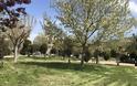 ΠΑΝΑΓΙΩΤΗΣ ΣΤΑΪΚΟΣ: Επιτέλους! Εικόνες πραγματικού πάρκου στον Αστακό!!!!