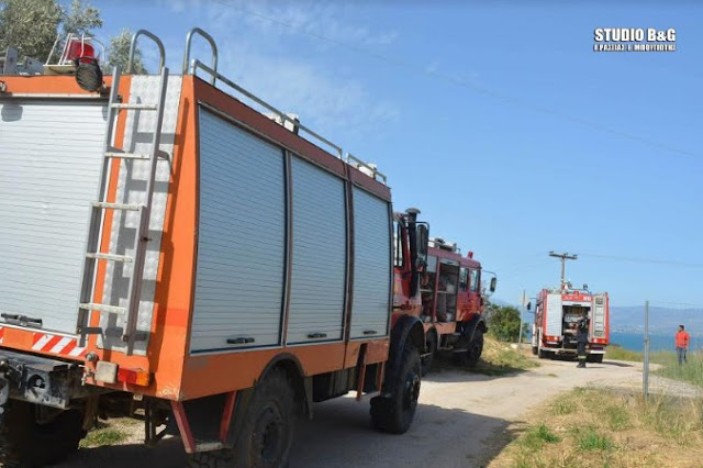 Αργολίδα - Επικίνδυνη πυρκαγιά κοντά σε οικισμό [photos] - Φωτογραφία 3