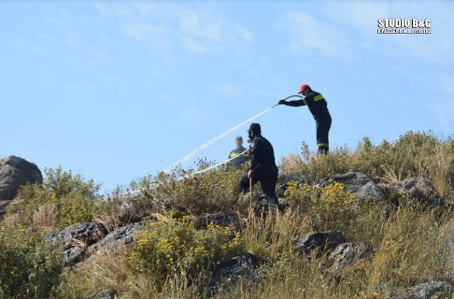 Αργολίδα - Επικίνδυνη πυρκαγιά κοντά σε οικισμό [photos] - Φωτογραφία 6