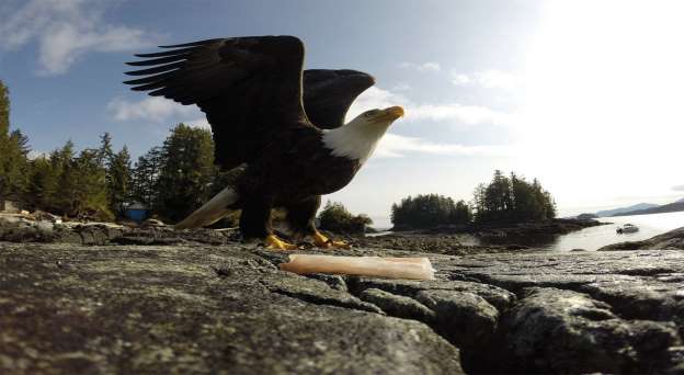 Εκπληκτικές εικόνες μέσα από μια κάμερα δράσης GoPro - Φωτογραφία 23