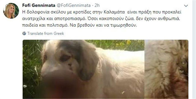 Φρίκη στην Καλαμάτα: Σκότωσαν σκύλο με κροτίδες που του έβαλαν στο στόμα [photo] - Φωτογραφία 2