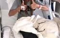 Στο νοσοκομείο γνωστή ηθοποιός – Υπεβλήθη σε χειρουργική επέμβαση - Φωτογραφία 1