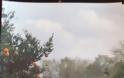 Περιοδεία του ΚΚΕ με επικεφαλής τον Βουλευτή Νίκο Μωραΐτη στις πληγείσες περιοχές του Δήμου Μεσολογγίου (Πρώην Δήμος Οινιαδών)-ΦΩΤΟ - Φωτογραφία 7
