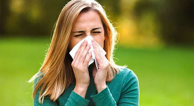 Αλλεργική ρινίτιδα, προκαλεί συνάχι, μπουκωμένη μύτη, πονοκέφαλο, φτέρνισμα, ξηρό βήχα. Πρόληψη και φυσικοί τρόποι αντιμετώπισης - Φωτογραφία 1