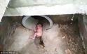 Ντροπή για το ανθρώπινο είδος: Πέταξαν νεογέννητο μωράκι μέσα σε ένα παγωμένο φρεάτιο βάθους 2 μέτρων  Συγκλονιστικό βίντεο - Φωτογραφία 2