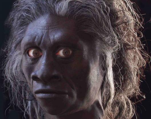 Ανακαλύφθηκε στη Σ.Αραβία απολίθωμα του Homo sapiens ηλικίας 90.000 ετών - Φωτογραφία 1
