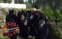 Με συμμετοχή εκατοντάδων πιστών η λιτανεία του «Άξιον Εστί» στο Άγιον Όρος (φωτογραφίες) - Φωτογραφία 9