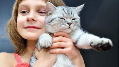 Αγαπούν οι γάτες τις αγκαλιές; - Φωτογραφία 1