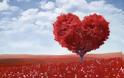 Άγιος Ιωάννης Κροστάνδης: Όλη η δύναμή μας έγκειται στην καρδιά μας!