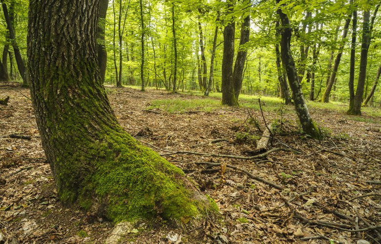 Τα πιο περίεργα και ανατριχιαστικά μέρη του πλανήτη - Φωτογραφία 2