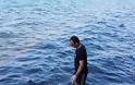 Νεκρή φάλαινα ξεβράστηκε στις ακτές της Σαντορίνης - Φωτογραφία 2