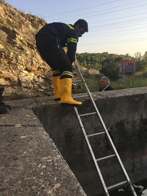 Eθελοντές πυροσβέστες διέσωσαν που έπεσε σε δεξαμενή (φωτογραφίες) - Φωτογραφία 3