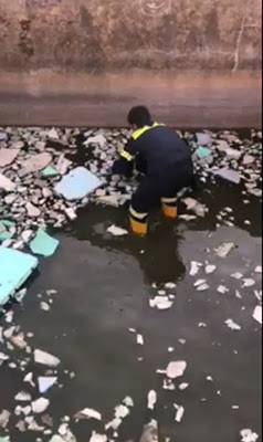 Eθελοντές πυροσβέστες διέσωσαν που έπεσε σε δεξαμενή (φωτογραφίες) - Φωτογραφία 4