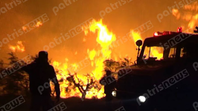 Στις χαράδρες συνεχίζεται η μάχη με τις φλόγες στην Ηλεία - Φωτογραφία 1