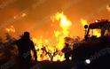 Στις χαράδρες συνεχίζεται η μάχη με τις φλόγες στην Ηλεία
