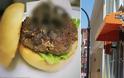 Αίσχος: Eστιατόριο σερβίρει μπέργκερ ταραντούλας