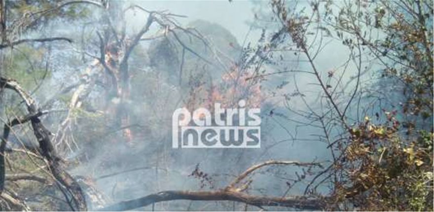 Ανεξέλεγκτη η φωτιά στην Ηλεία - Εκκενώθηκαν σπίτια - Φωτογραφία 2