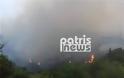 Ανεξέλεγκτη η φωτιά στην Ηλεία - Εκκενώθηκαν σπίτια - Φωτογραφία 3