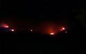 Ανεξέλεγκτη η φωτιά στην Ηλεία - Εκκενώθηκαν σπίτια - Φωτογραφία 4