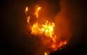 Φωτιά - Ηλεία: Δεν υπάρχει ενεργό μέτωπο στη Φρίξα – Σε επιφυλακή η Πυροσβεστική